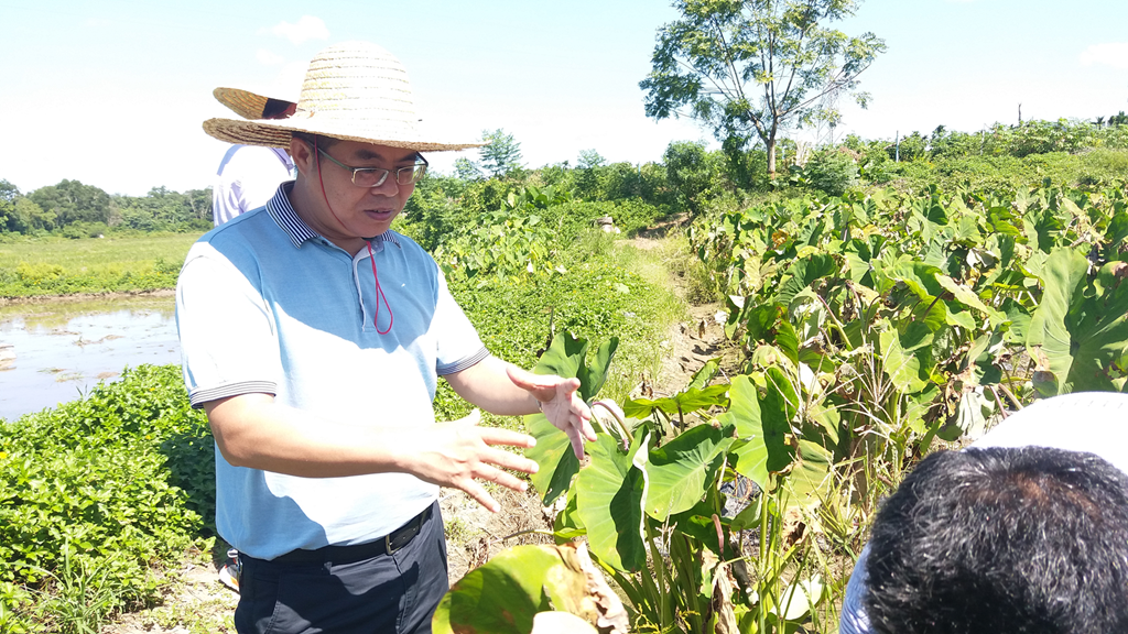 CA88(中国区)唯一官方网站