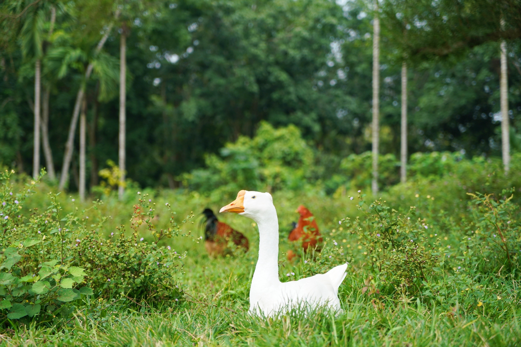 CA88(中国区)唯一官方网站
