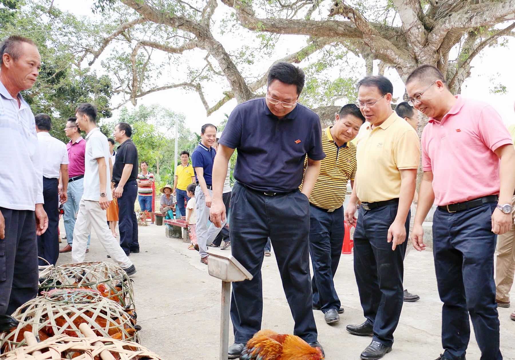 CA88(中国区)唯一官方网站