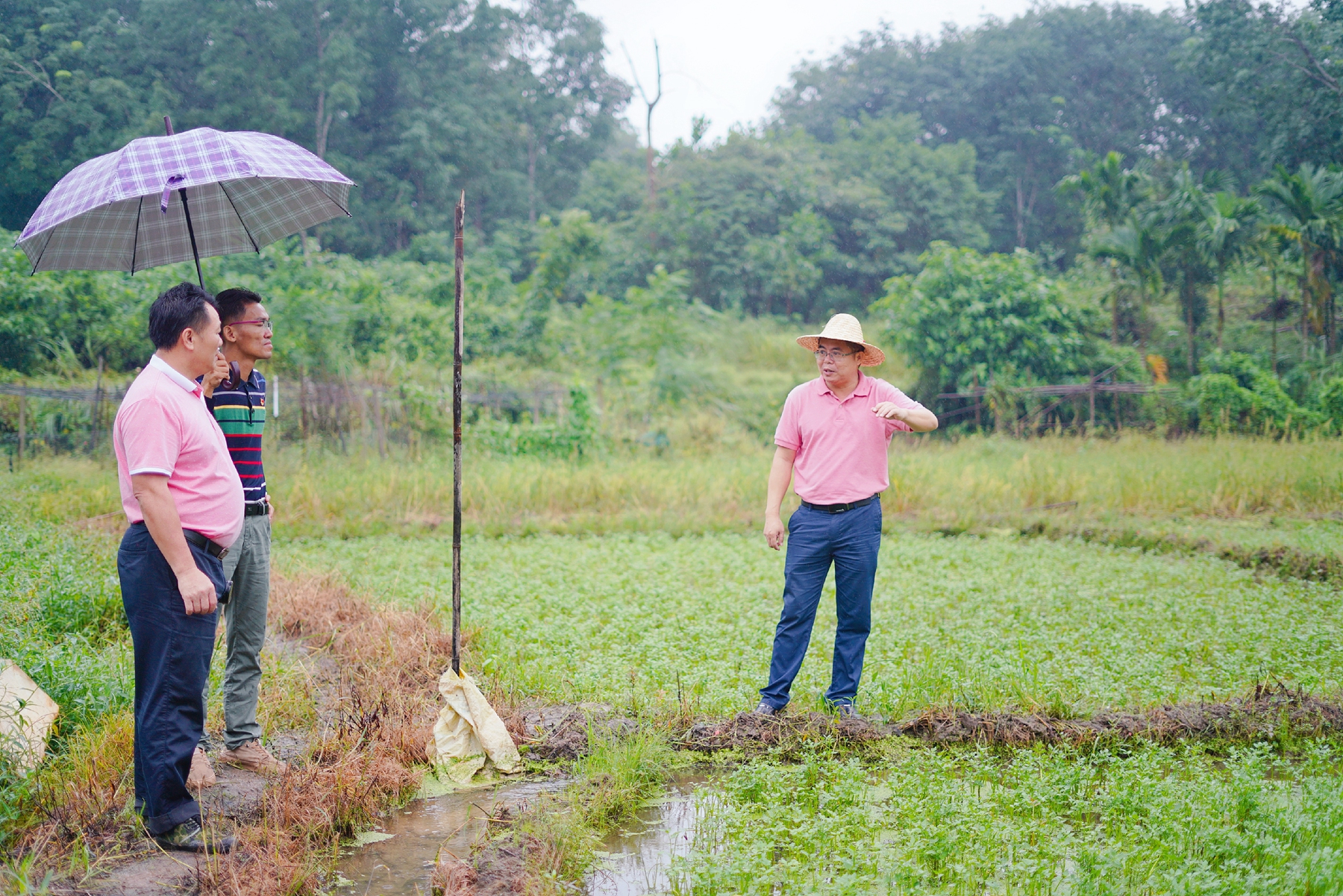 CA88(中国区)唯一官方网站
